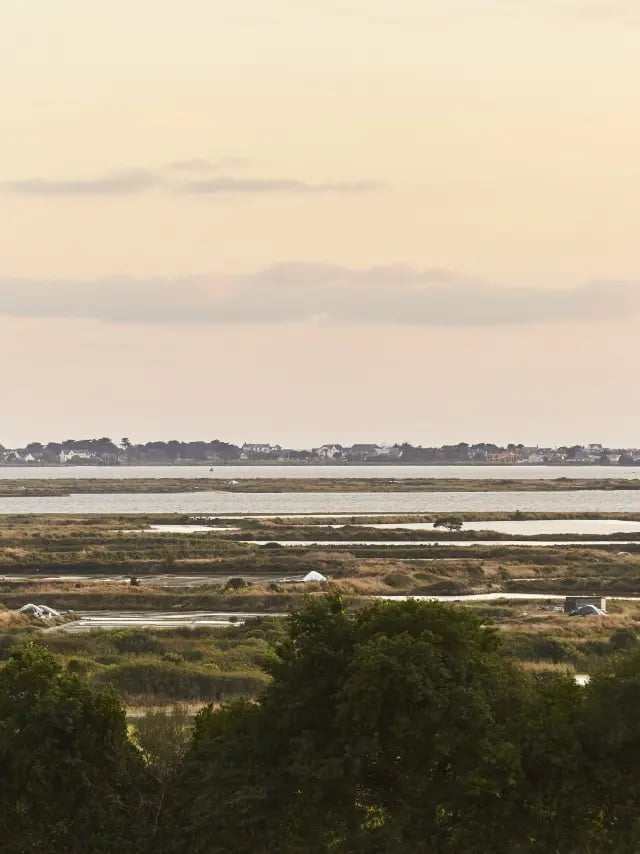 Salines de Guérande 2