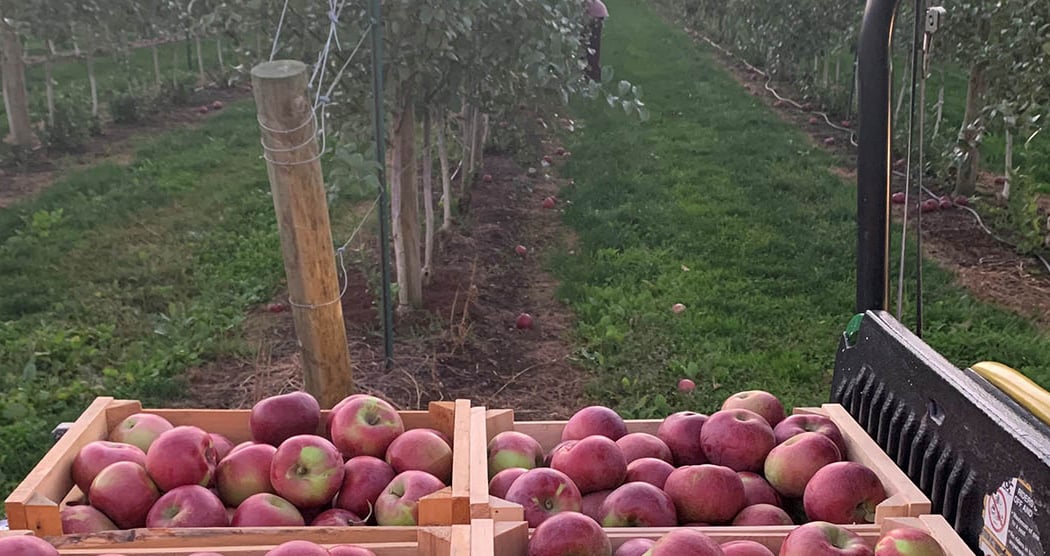 C N Smith Farm 2