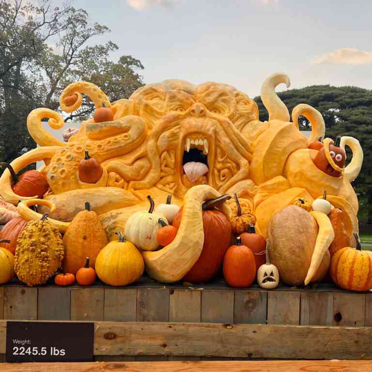 Schmitts Farm Haunt 2