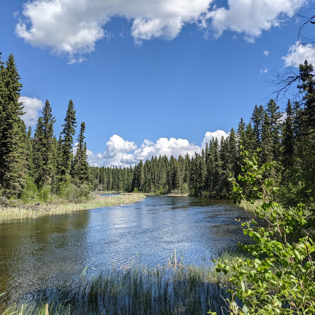 Prince Albert National Park 3