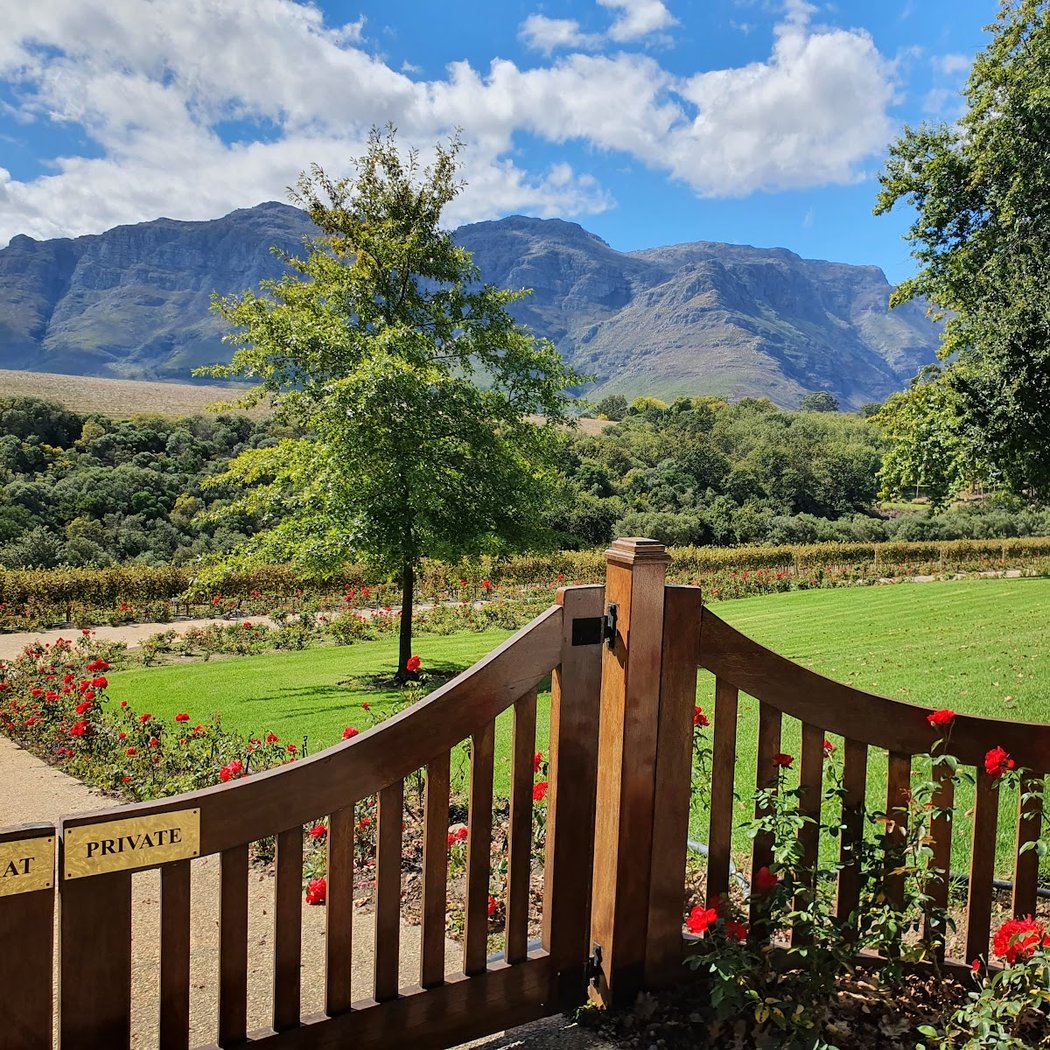 Rust en Vrede Wine Estate 3