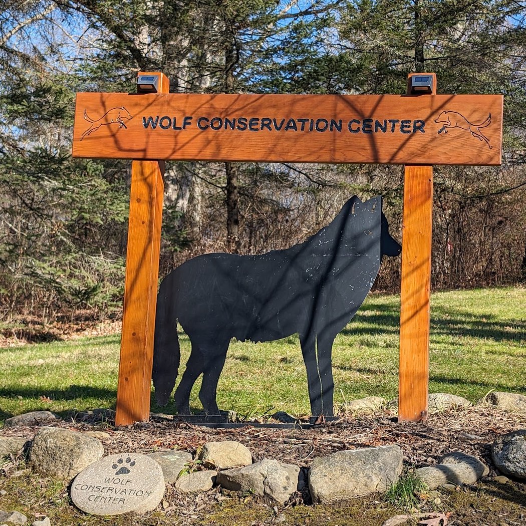 Wolf Conservation Center 4
