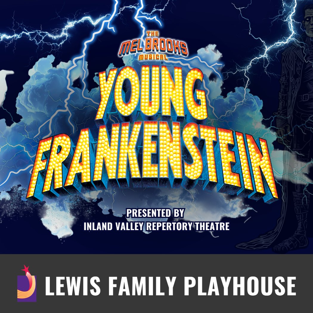 Young Frankenstein 1