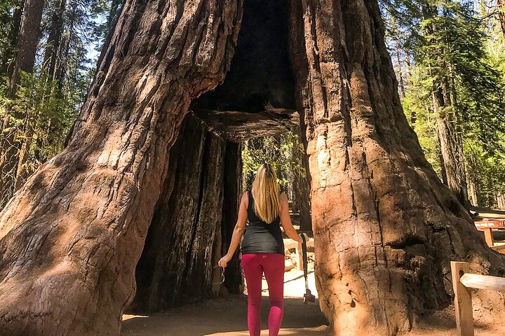 Yosemite 3-Day Camping Adventure from San Francisco 3