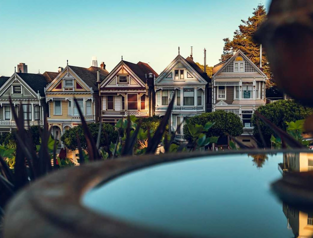 The Painted Ladies 2