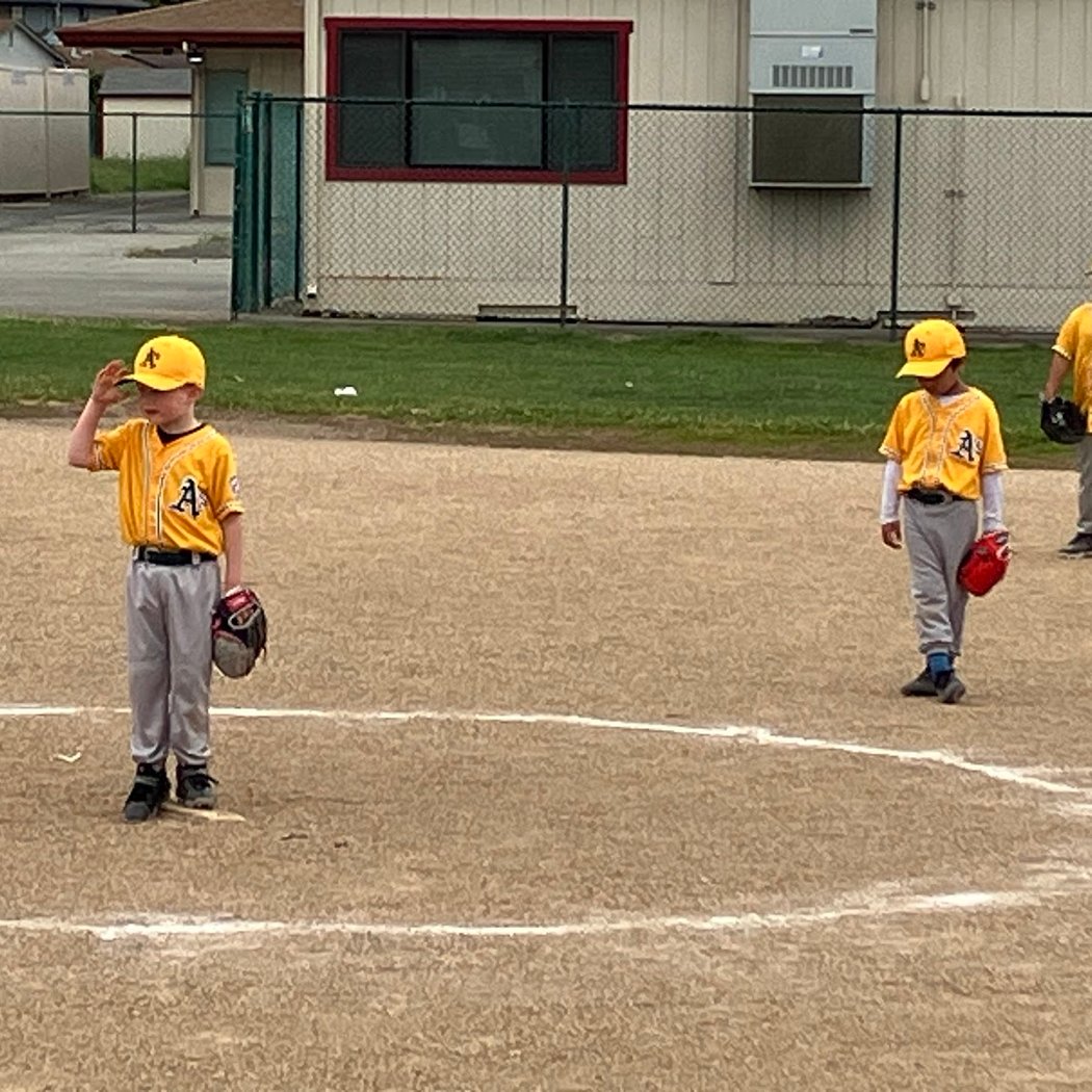 Fremont Centerville Little League 1