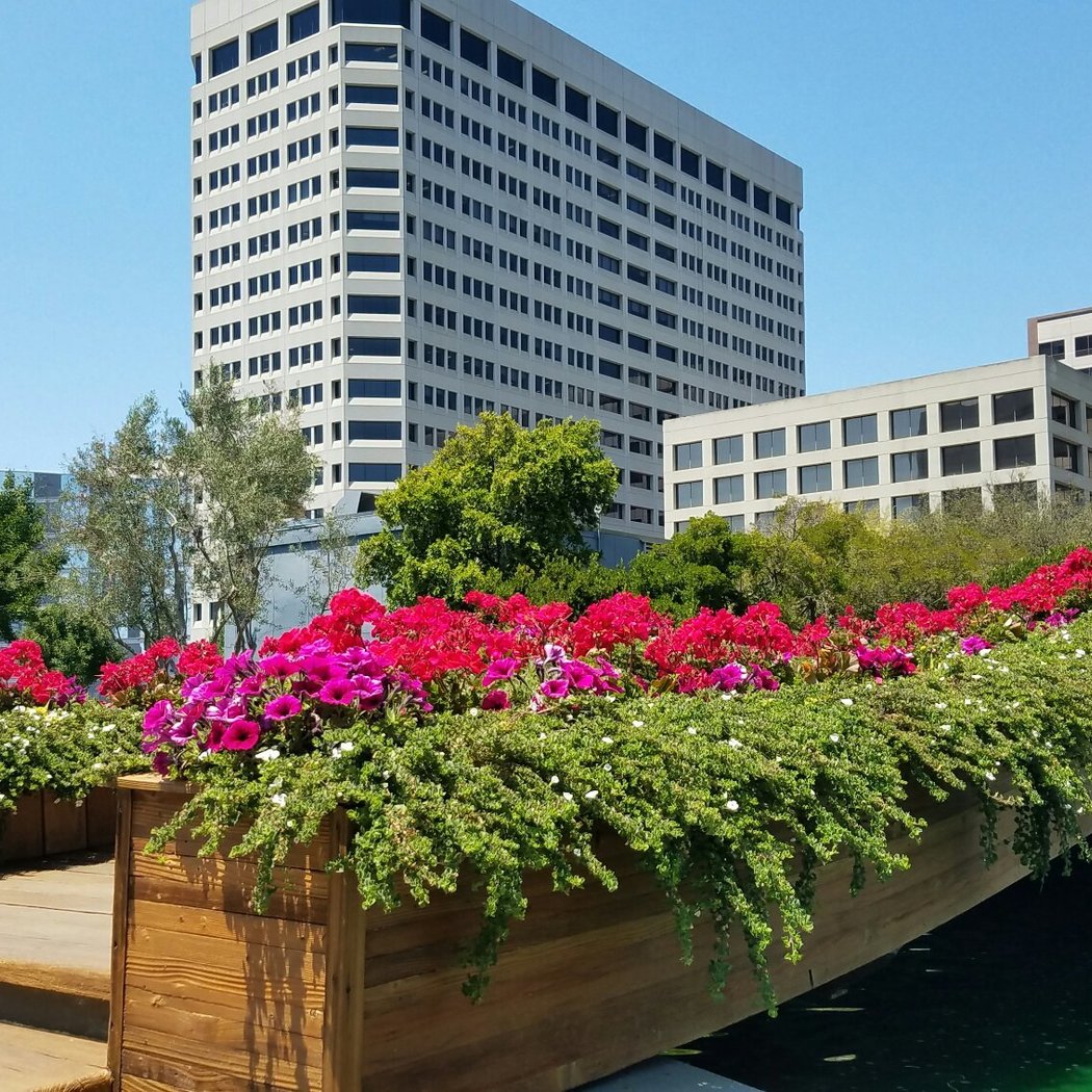 Kaiser Rooftop Garden 1