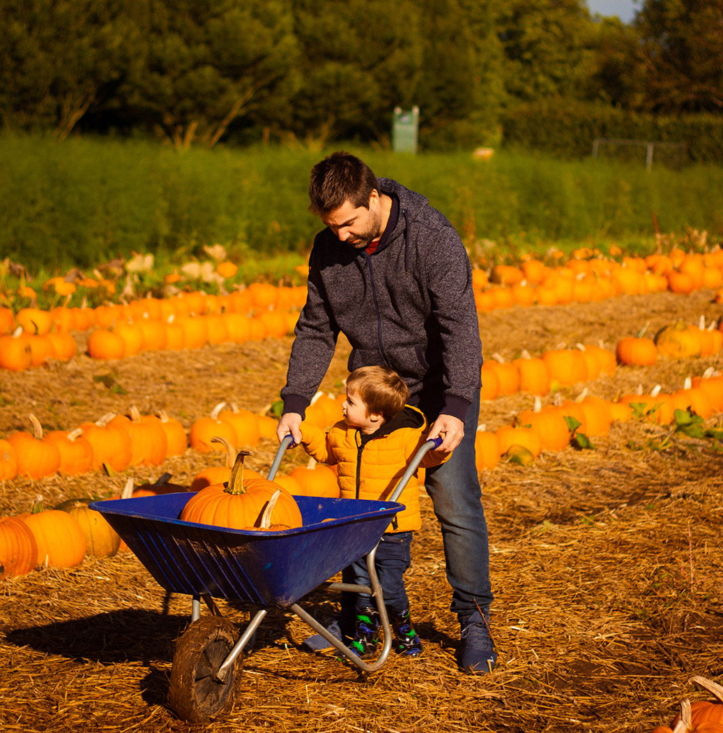 Pumpkin Picking Experience 1