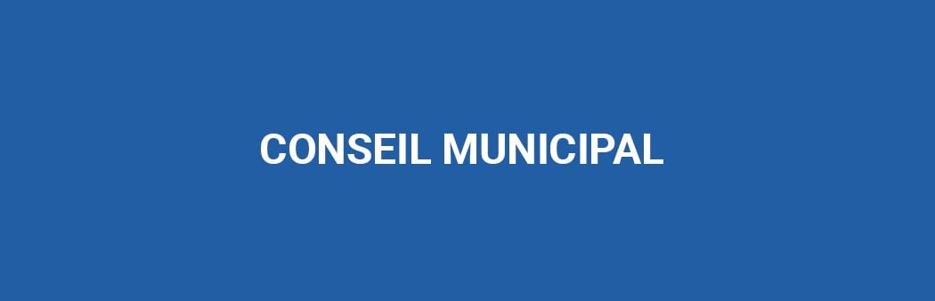 Conseil Municipal 1