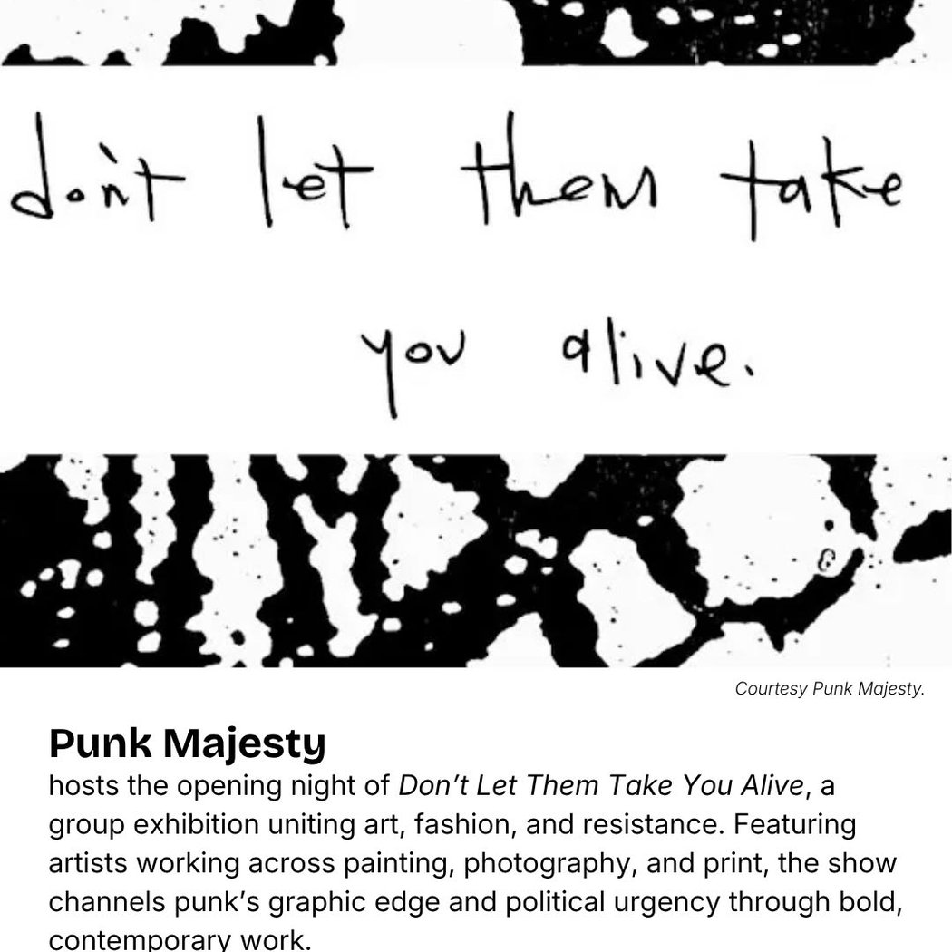 Don't Let Them Take You Alive 1