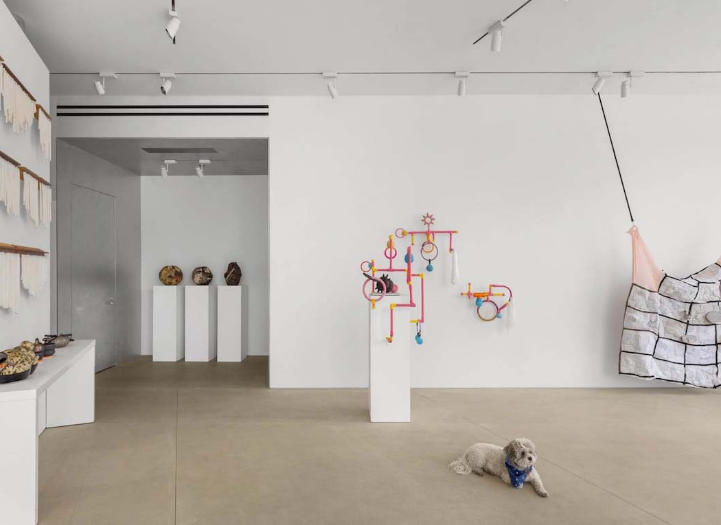 The Shirley Project Space 2