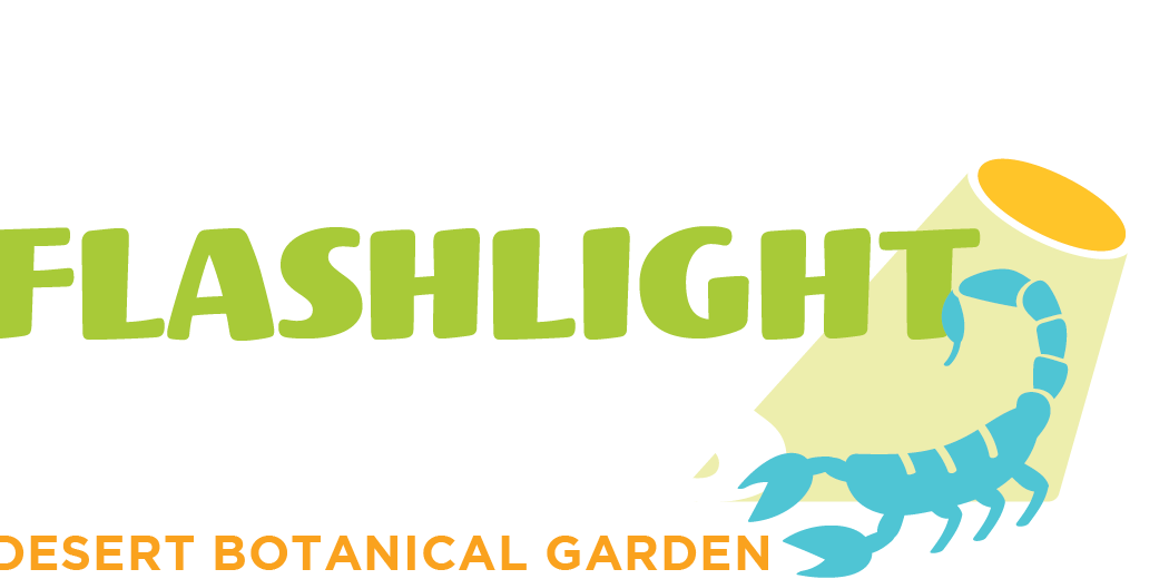 Flashlight Nights: Summer Edition 3