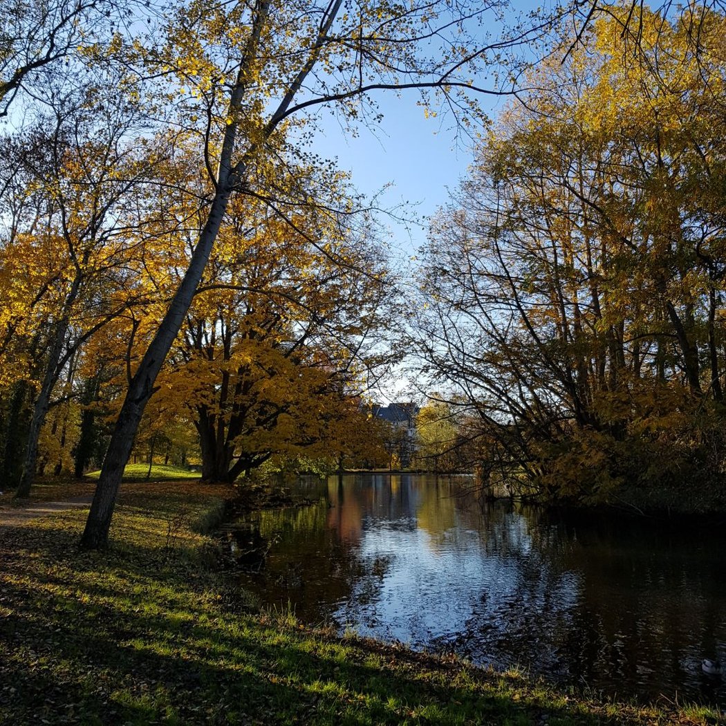 Belle Isle Park 1
