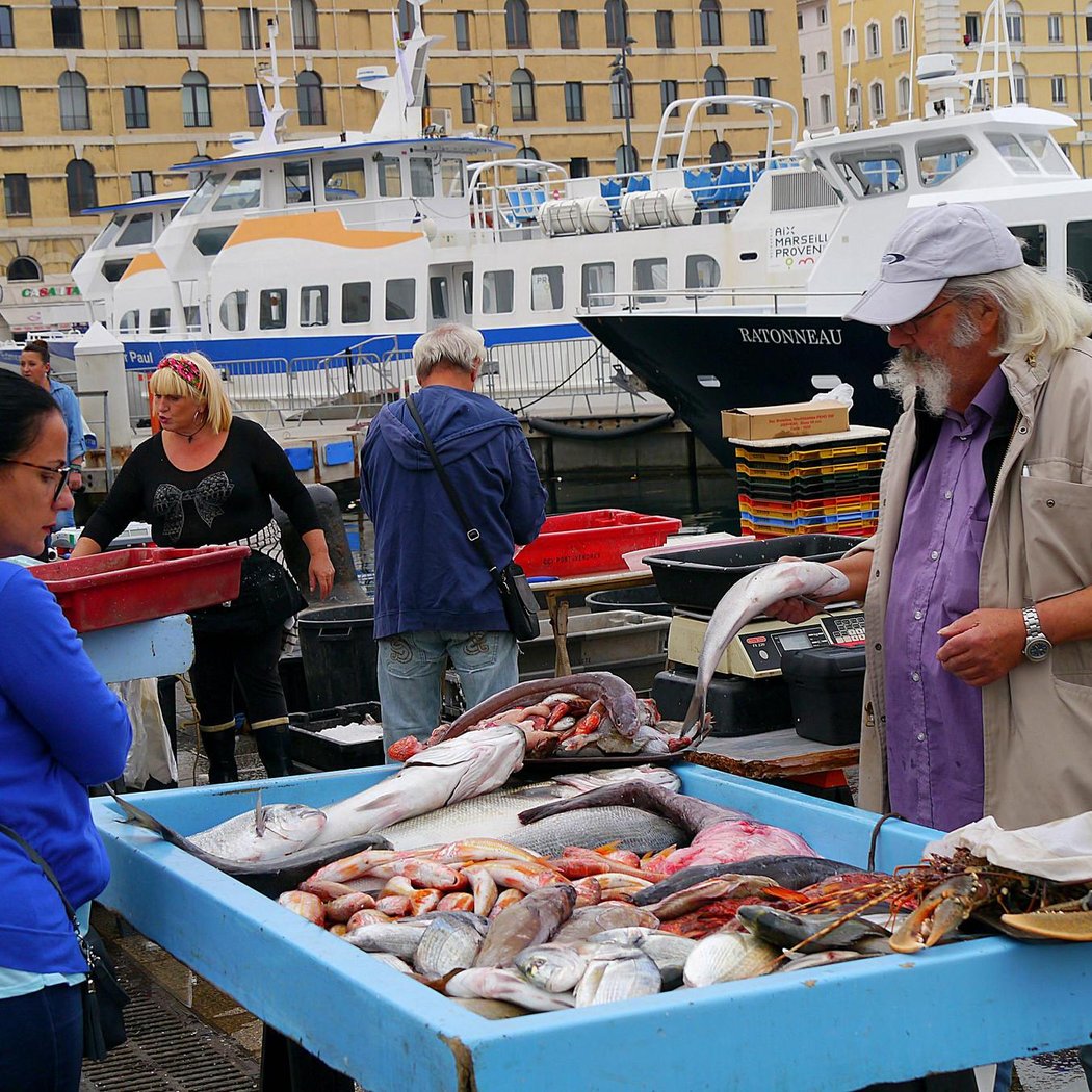 Daily Fish Market 3