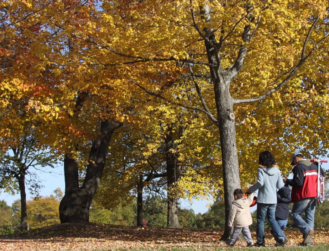 Family Nature Hike 1
