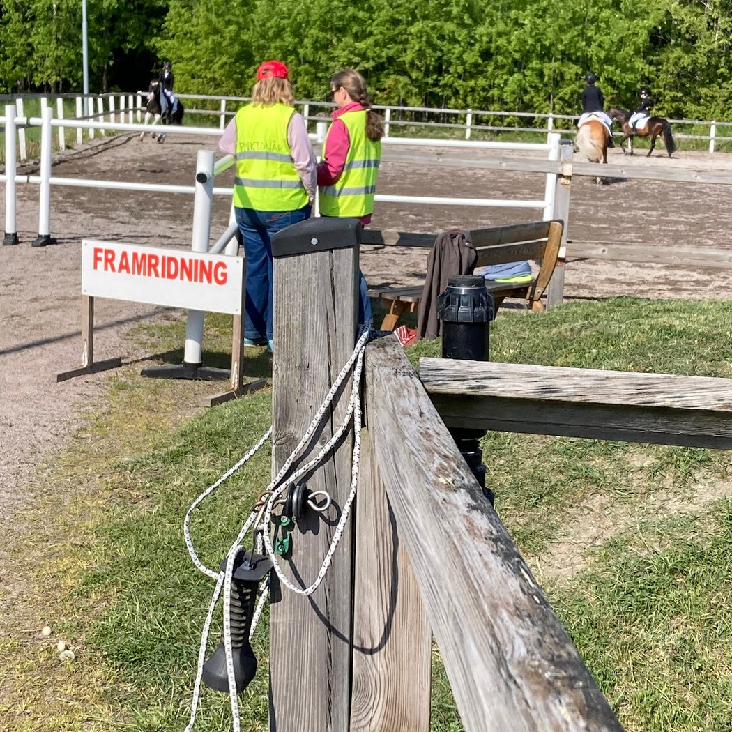 Gratis ponnyridning 2