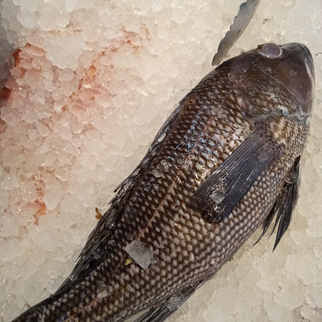 Broad Fish Market 1