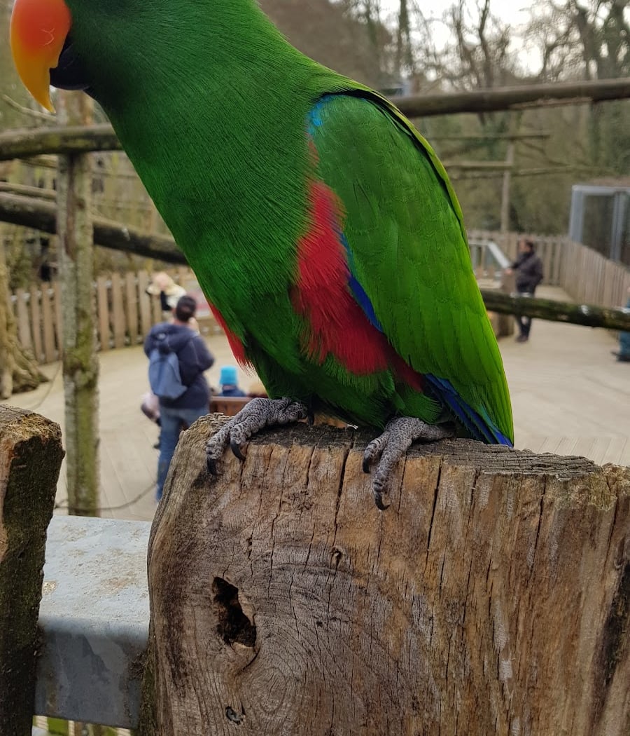 Les Sables d'Olonne Zoo 1