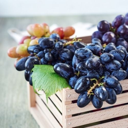 Greece & The Mediterranean Wine Class 3