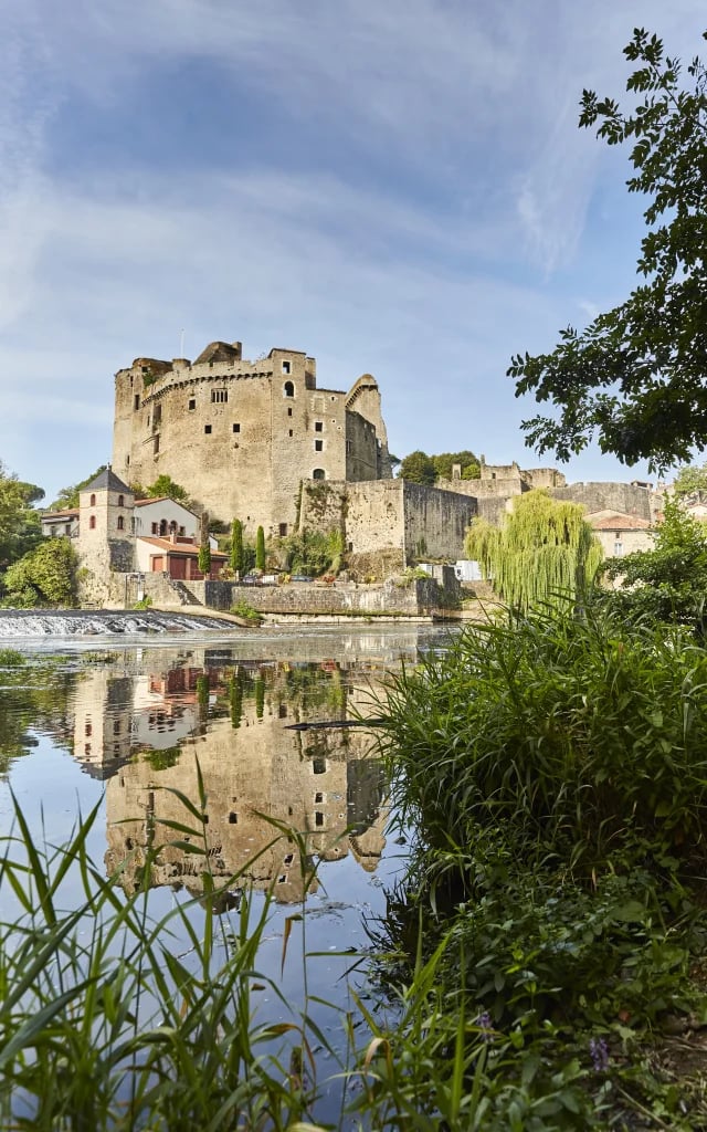 Château de Clisson 1