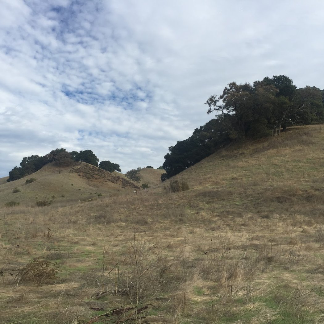 Briones Overlook Staging Area 2