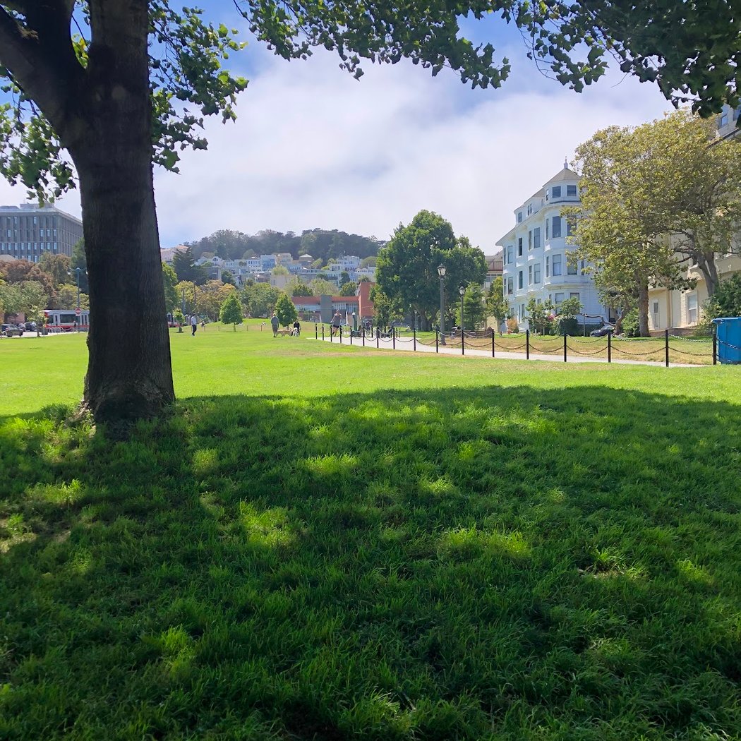 San Francisco’s Annual DogFest 2026 2
