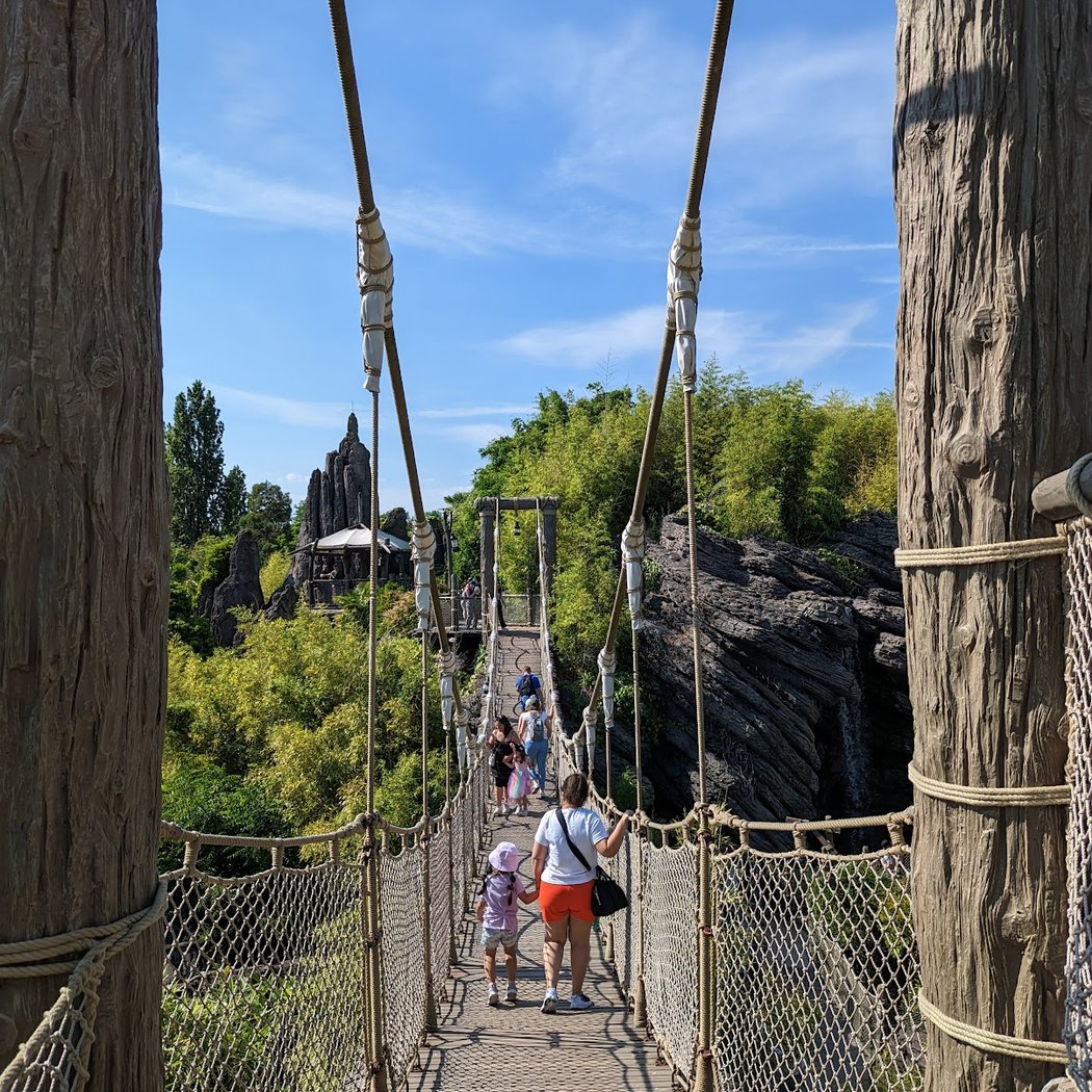 Le Pont Suspendu 1
