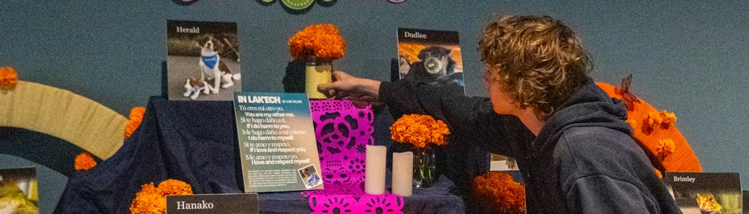 Ofrenda 2