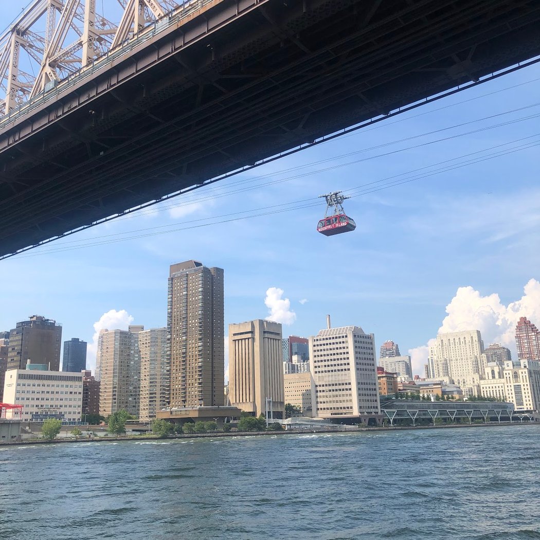 Roosevelt Island Day 2025 2