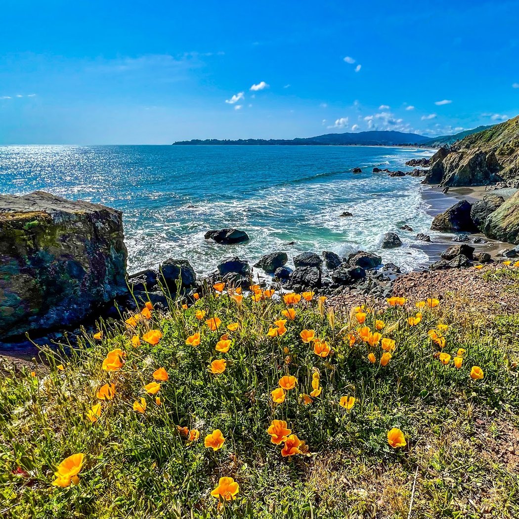Stinson Beach Boulders 1