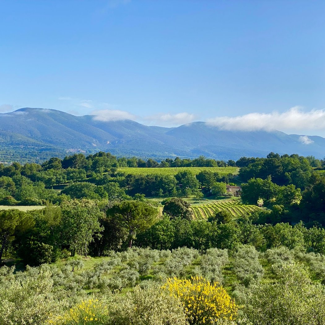 Moulin à huile d'olive & Domaine Bastide du Laval 2