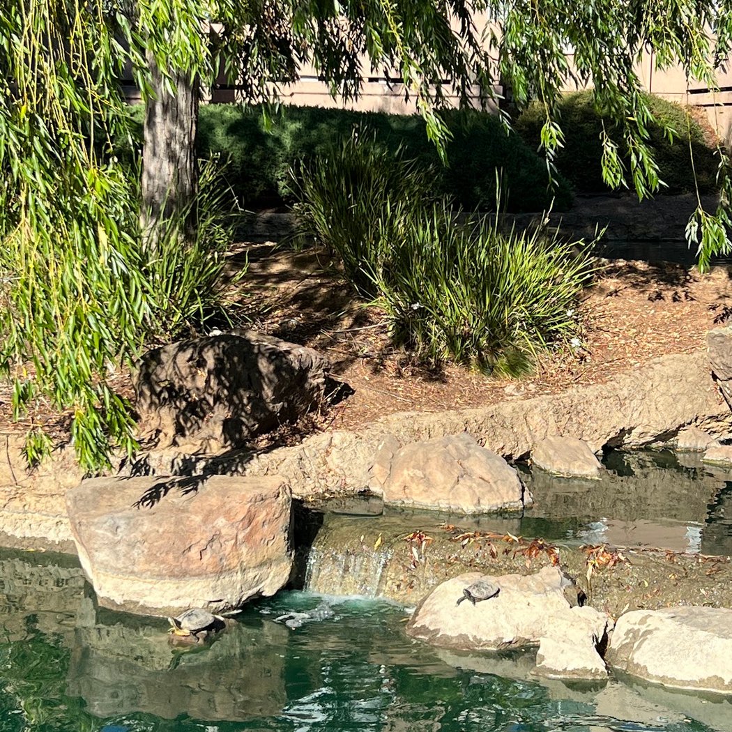 Yerba Buena Lake 3