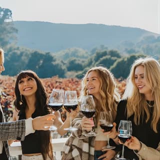 The Ultimate Napa and Sonoma Wine Tour 1