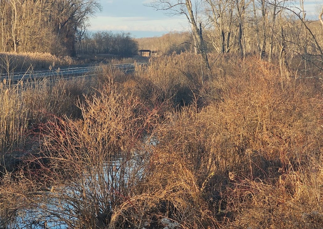Lewis A. Swyer Preserve 3
