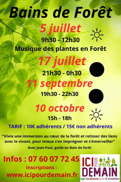 Bain de Forêt en après-midi