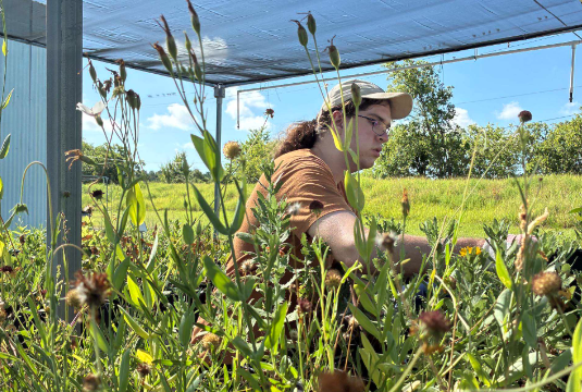 GBF Baytown Nursery Days 2
