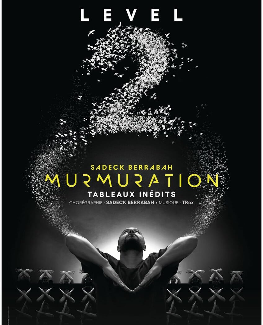 Murmuration - Level 2 1