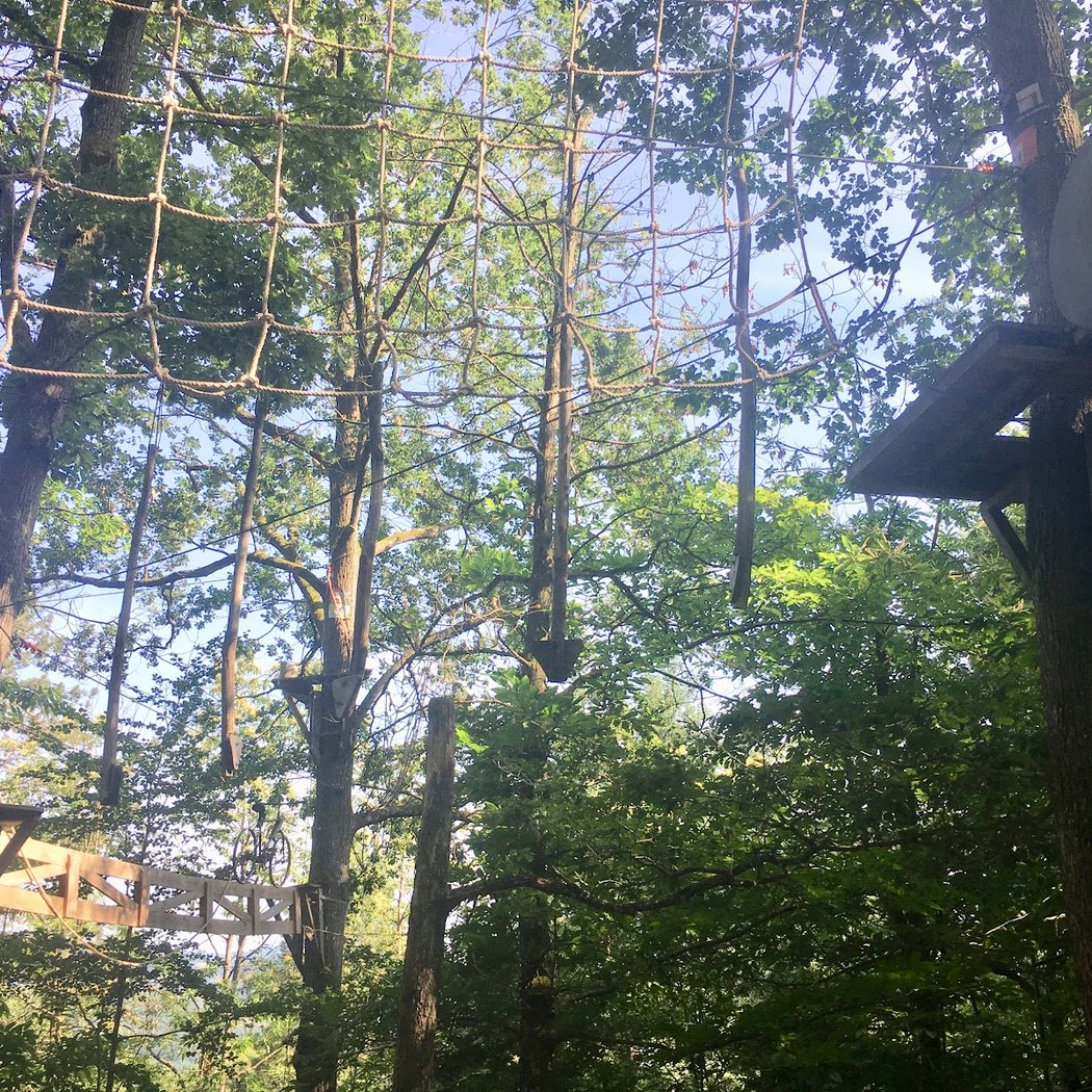 ACRO'BATH- PARC EN FORET DU CLUNISOIS 3