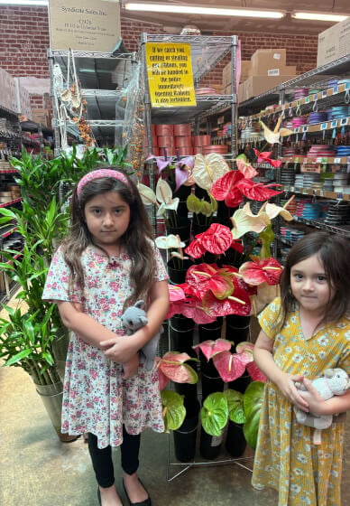 San Francisco Flower Market 3