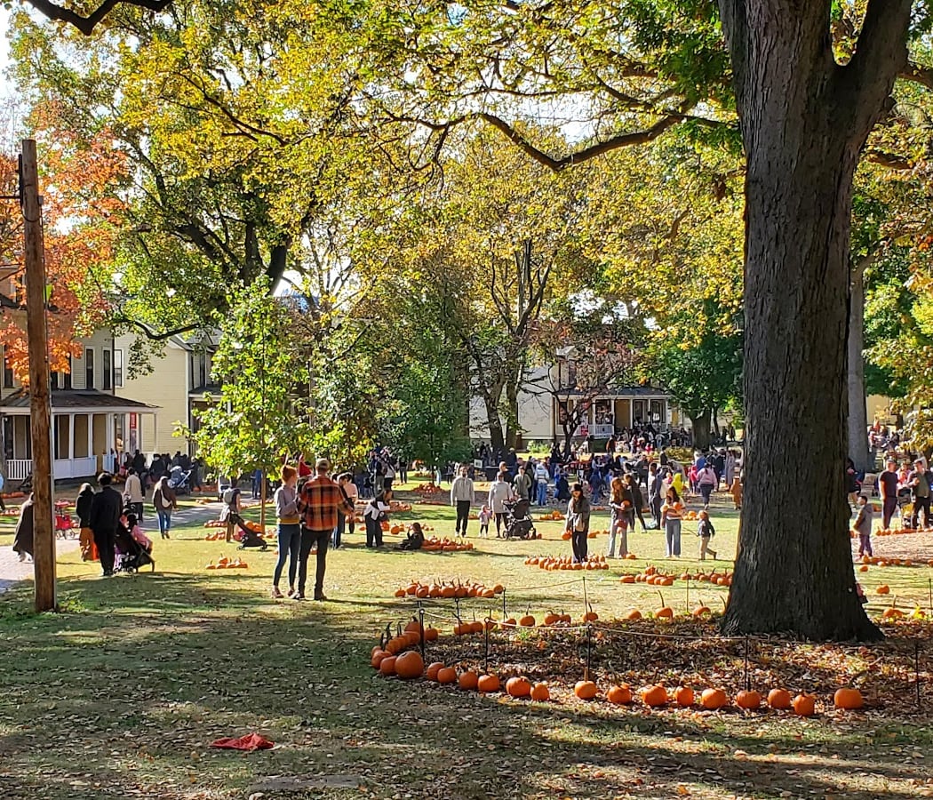 Pumpkin Picking & Crafts 1