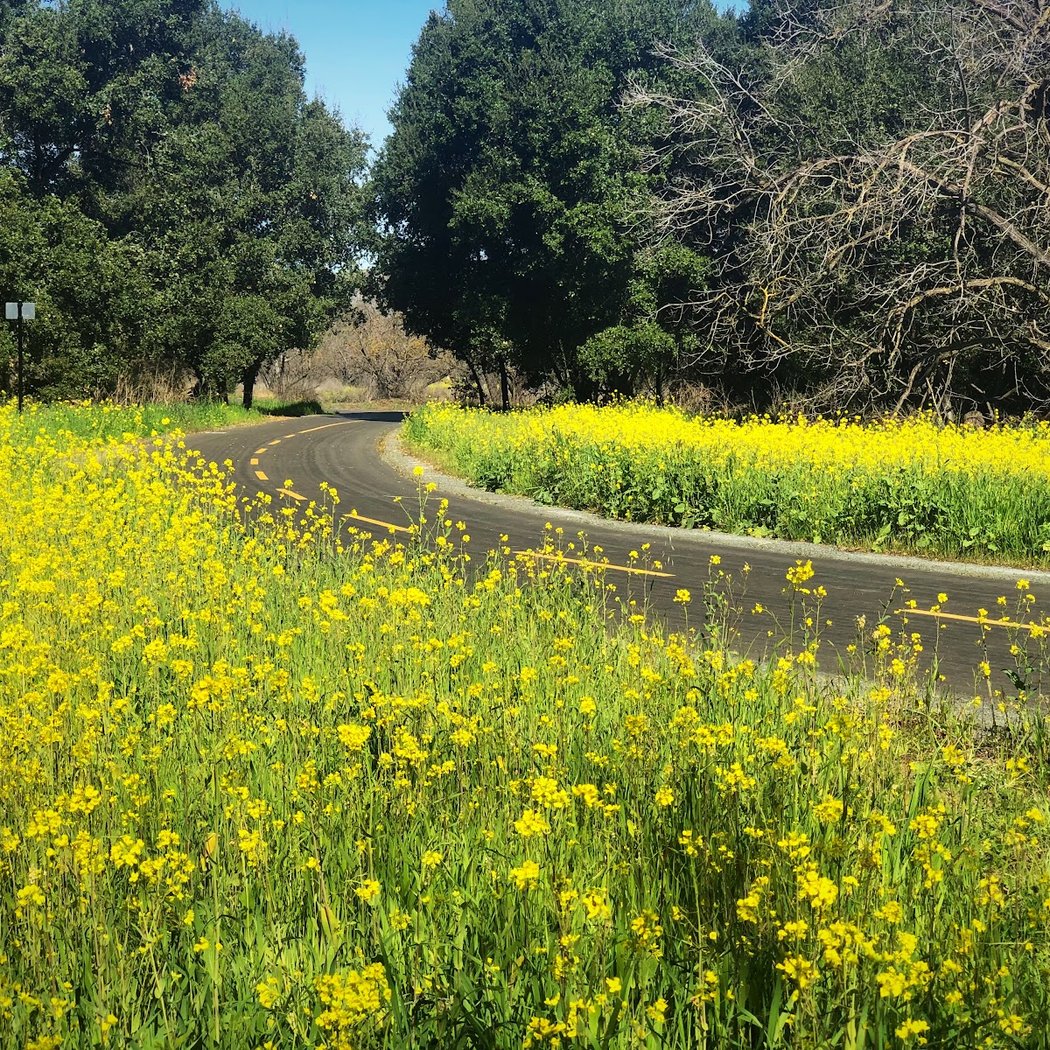 Coyote Creek Parkway North 1