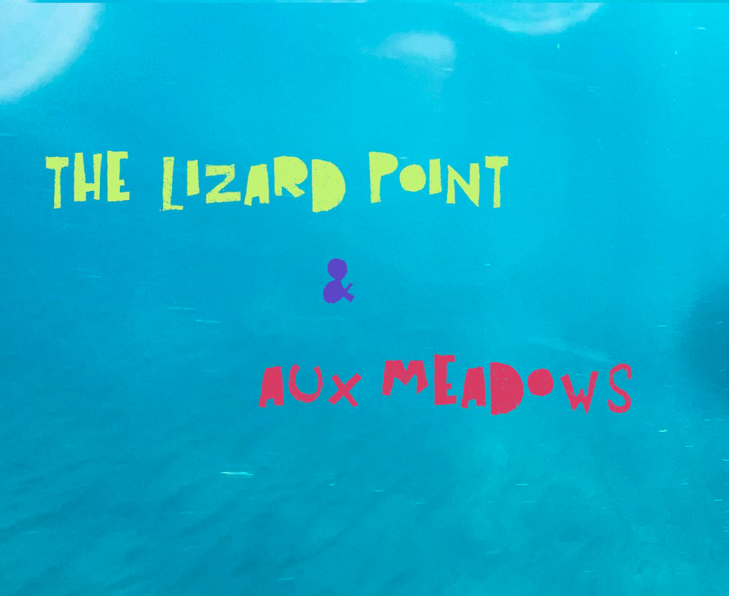 The Lizard Point & Aux Meadows 1