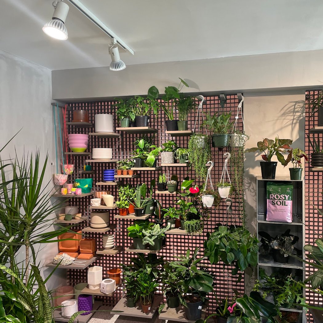 Jungle NYC 3