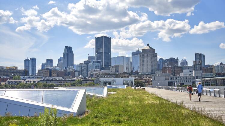 Grand Quay of the Port of Montreal 1