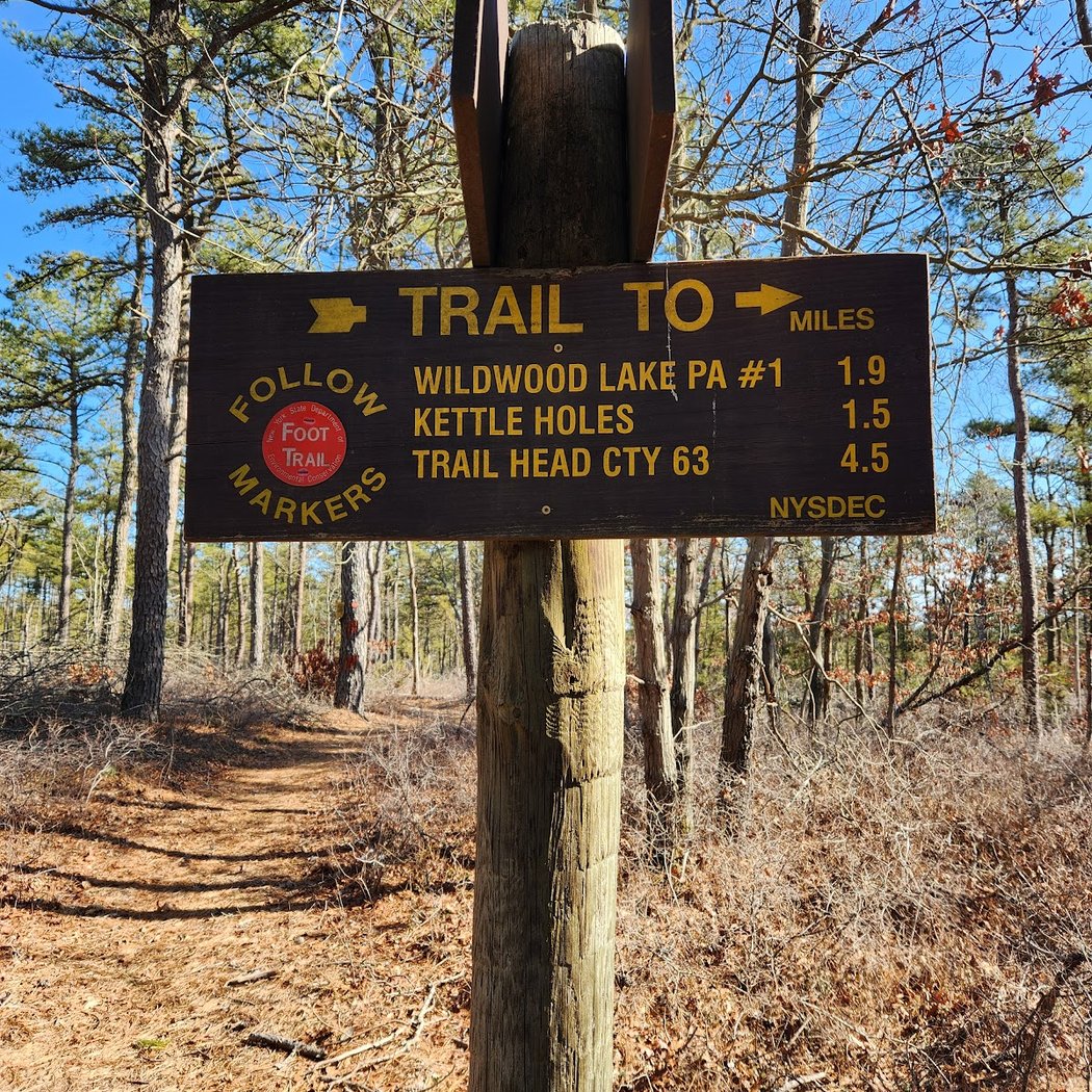 David A. Sarnoff Preserve 3