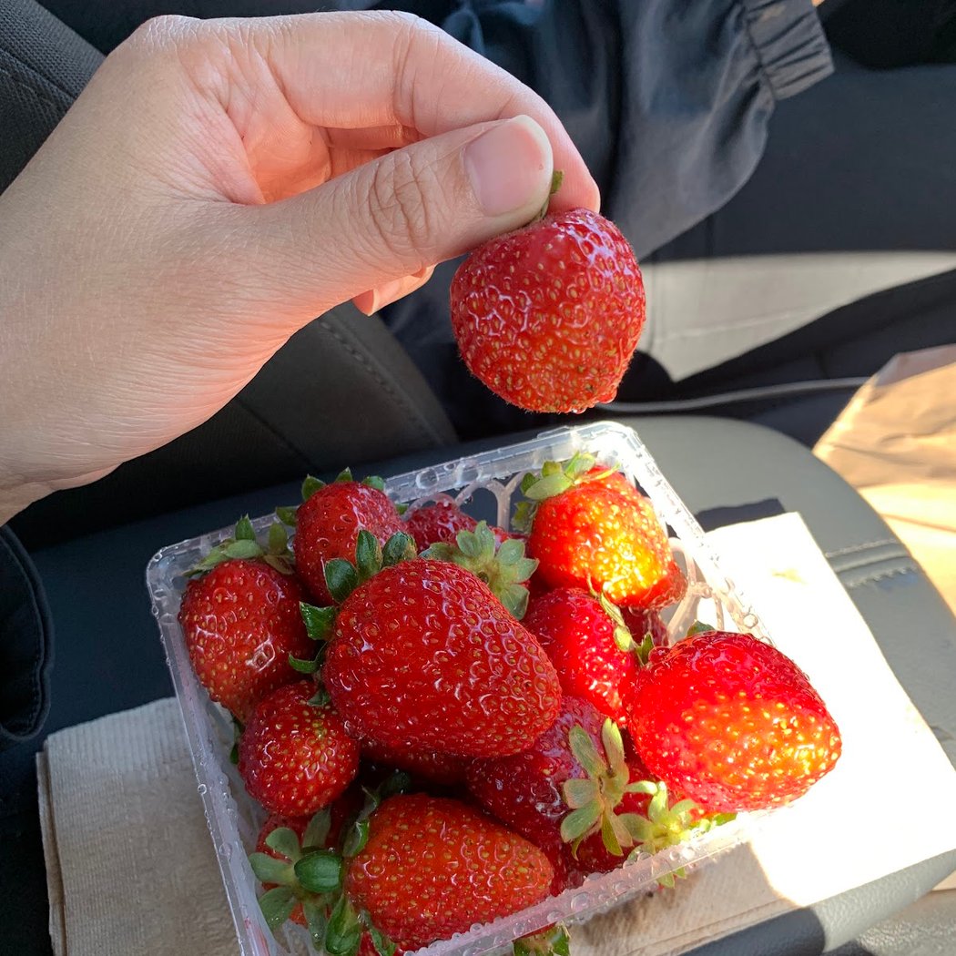 Watmaugh Strawberries 3