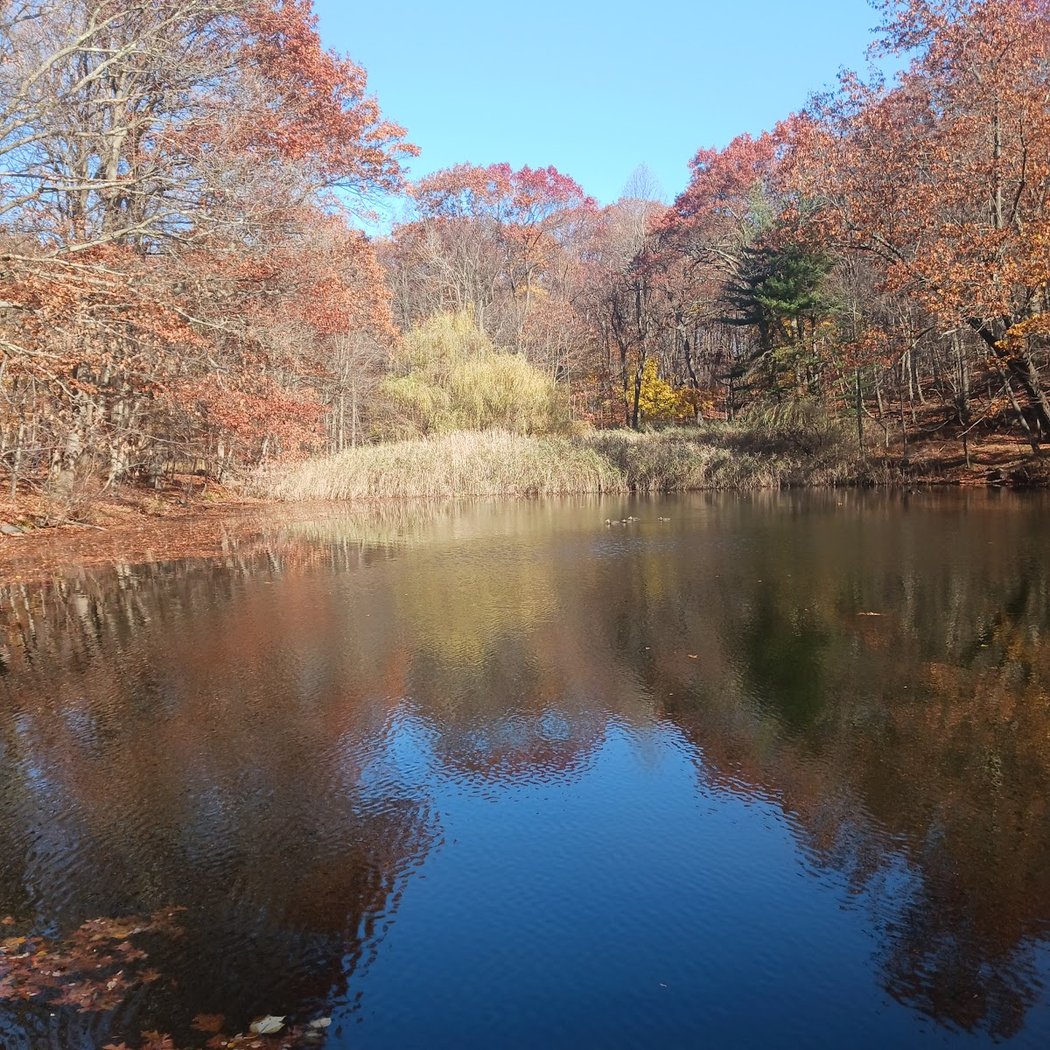 Hillside Park 1