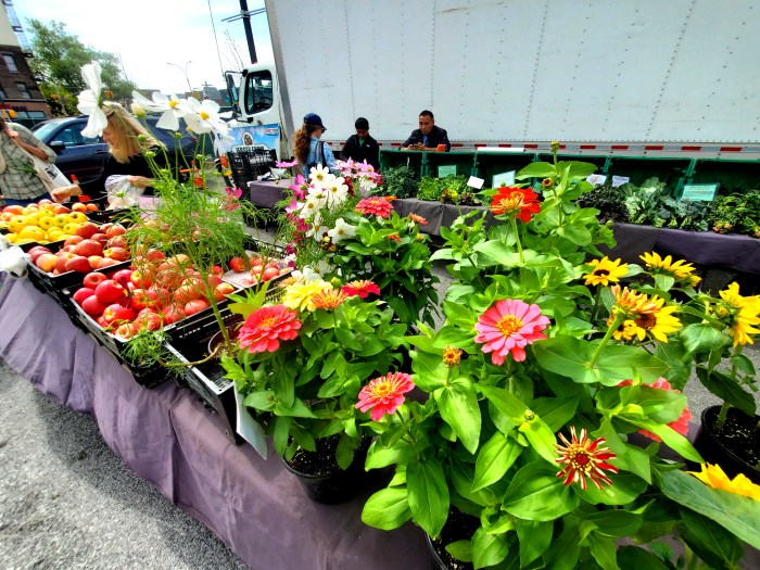 Bay Ridge Greenmarket 1