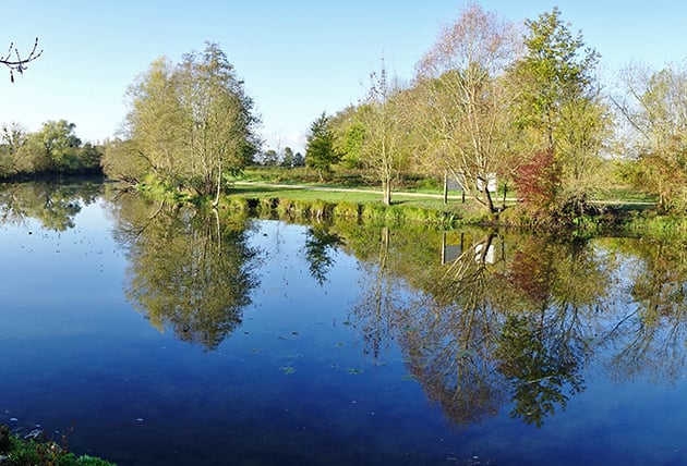 Bardeaux de l’Indre 1
