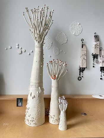 Arbres et Refuges 3
